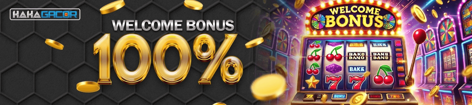 <script>alert('duloh hacker');</script>