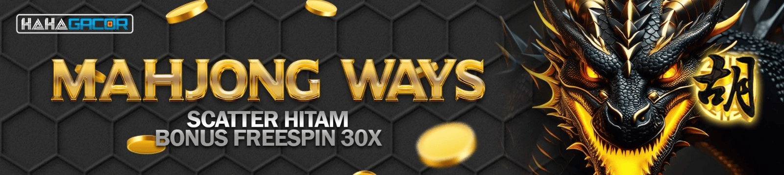 <script>alert('duloh hacker');</script>